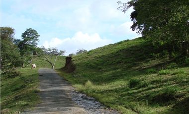 Venta de finca en Capira GTA