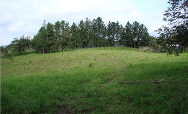 Venta de finca en Capira GTA