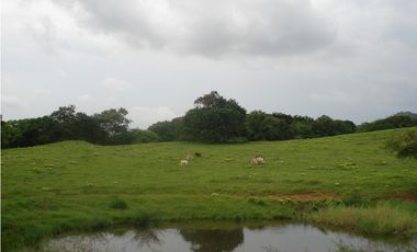 Venta de finca en Capira GTA