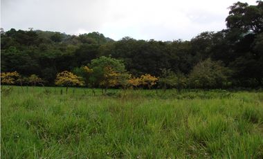Venta de finca en Capira GTA