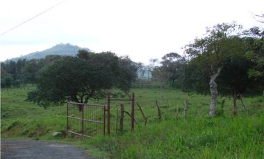 Venta de finca en Capira GTA