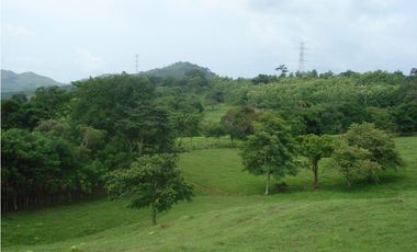 Venta de finca en Capira GTA