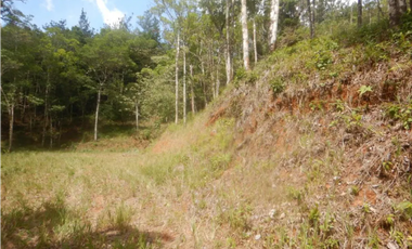 TERRENO / ALTOS DE CERRO AZUL / 2363 M2 / CON PAISAJISMO