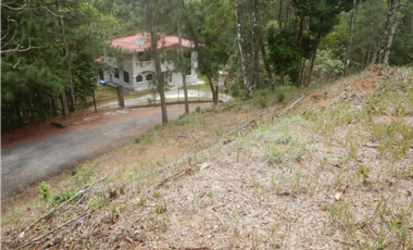 TERRENO / ALTOS DE CERRO AZUL / 2363 M2 / CON PAISAJISMO