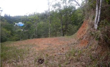 TERRENO / ALTOS DE CERRO AZUL / 2363 M2 / CON PAISAJISMO
