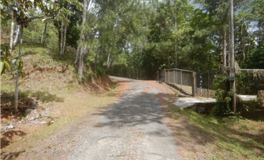 TERRENO / ALTOS DE CERRO AZUL / 2363 M2 / CON PAISAJISMO