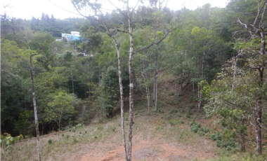 TERRENO / ALTOS DE CERRO AZUL / 2363 M2 / CON PAISAJISMO