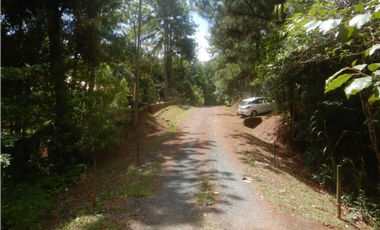 TERRENO / ALTOS DE CERRO AZUL / 2363 M2 / CON PAISAJISMO