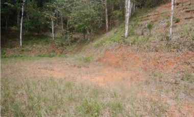 TERRENO / ALTOS DE CERRO AZUL / 2363 M2 / CON PAISAJISMO