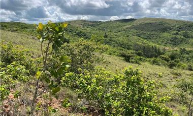 VENTA DE LOTE EN PENONOMÉ, SANTA CRUZ 1450M2, HERMOSA VISTA