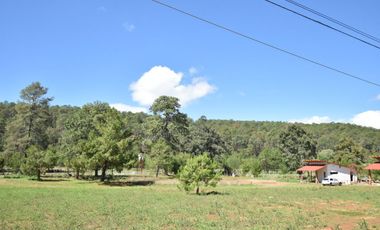 Los Espinos terreno en venta con cabañas en Tapalpa