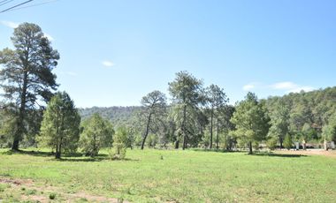 Los Espinos terreno en venta con cabañas en Tapalpa