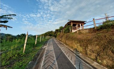 VENTA FINCA TURISMO PLANTACION CAFETERA VERGARA CUNDINAMARCA