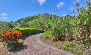 VENTA FINCA TURISMO PLANTACION CAFETERA VERGARA CUNDINAMARCA