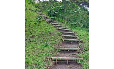 VENTA FINCA TURISMO PLANTACION CAFETERA VERGARA CUNDINAMARCA