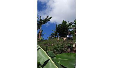 Vendo Finca en la vereda Conventos en  Caldas