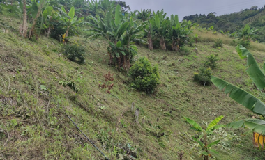 Vendo Finca en la vereda Conventos en  Caldas