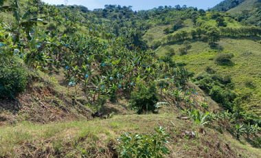 Vendo Finca en la vereda Conventos en  Caldas