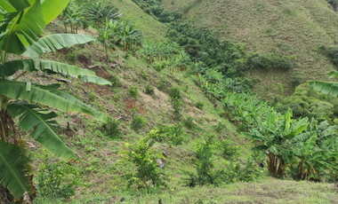Vendo Finca en la vereda Conventos en  Caldas