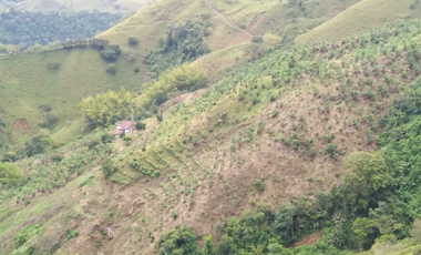 Vendo Finca en la vereda Conventos en  Caldas