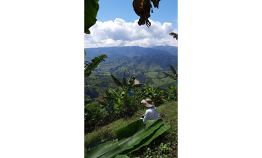 Vendo Finca en la vereda Conventos en  Caldas