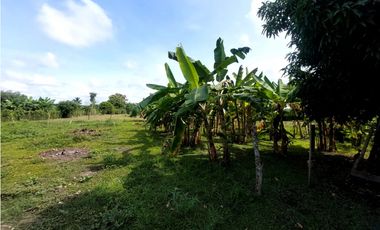 VENTA DE PARCELA EN SIERRA CHIQUITA DE MONTERIA