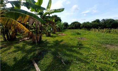 VENTA DE PARCELA EN SIERRA CHIQUITA DE MONTERIA
