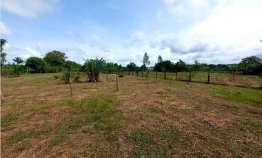 VENTA DE PARCELA EN SIERRA CHIQUITA DE MONTERIA