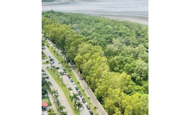 Celebrate Elevated Living | Upper East Tower