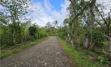 Se Vende Finca en Capira 5.5 Hectáreas