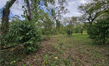 Se Vende Finca en Capira 5.5 Hectáreas