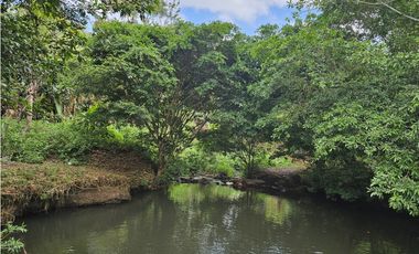 Se Vende Finca en Capira 5.5 Hectáreas