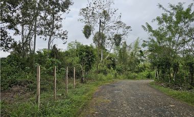 Se Vende Finca en Capira 5.5 Hectáreas