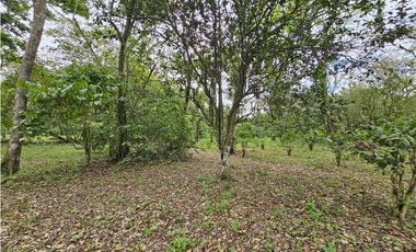 Se Vende Finca en Capira 5.5 Hectáreas