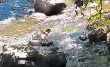 Parcela en Venta en Camino al Radal Siete Tazas