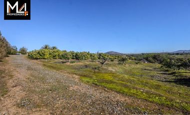 Parcela en Venta en El Sauce
