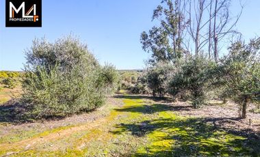 Parcela en Venta en El Sauce