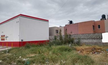 TERRENO EN RENTA EN LA DALIA, TORREÓN, COAHUILA.