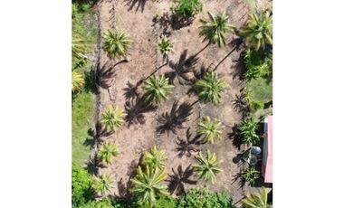VENTA DE DOS LOTES EN SAN BERNARDO DEL VIENTO - CÓRDOBA