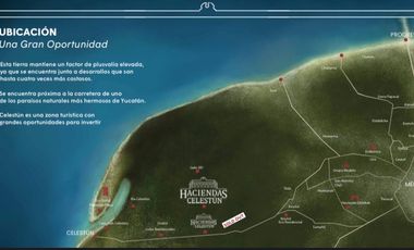 Terreno - Celestún