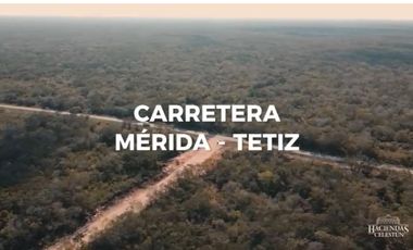 Terreno - Celestún