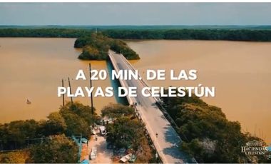 Terreno - Celestún