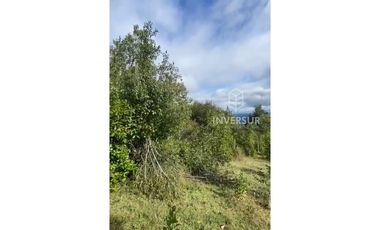 PARCELA DE 5000 M2 CON BOSQUE NATIVO Y VERTIENTE A 16 KM DE LICANRAY