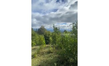 PARCELA DE 5000 M2 CON BOSQUE NATIVO Y VERTIENTE A 16 KM DE LICANRAY