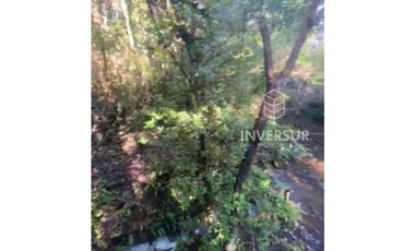 PARCELA DE 5000 M2 CON BOSQUE NATIVO Y VERTIENTE A 16 KM DE LICANRAY