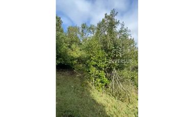 PARCELA DE 5000 M2 CON BOSQUE NATIVO Y VERTIENTE A 16 KM DE LICANRAY