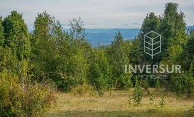PARCELA DE 5000 M2 CON BOSQUE NATIVO Y VERTIENTE A 16 KM DE LICANRAY