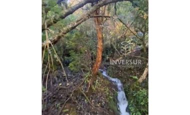PARCELA DE 5000 M2 CON BOSQUE NATIVO Y VERTIENTE A 16 KM DE LICANRAY