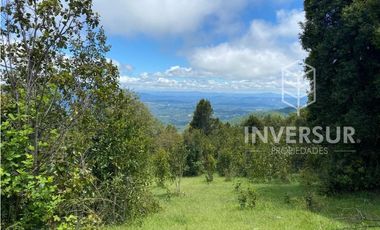 PARCELA DE 5000 M2 CON BOSQUE NATIVO Y VERTIENTE A 16 KM DE LICANRAY