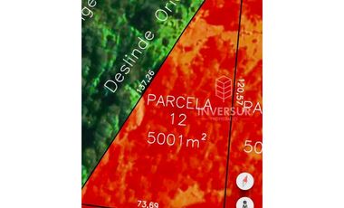 PARCELA DE 5000 M2 CON BOSQUE NATIVO Y VERTIENTE A 16 KM DE LICANRAY